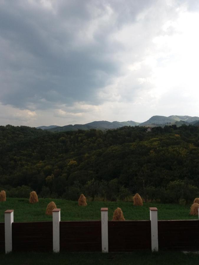 Vila Aloman Sebeş Dış mekan fotoğraf