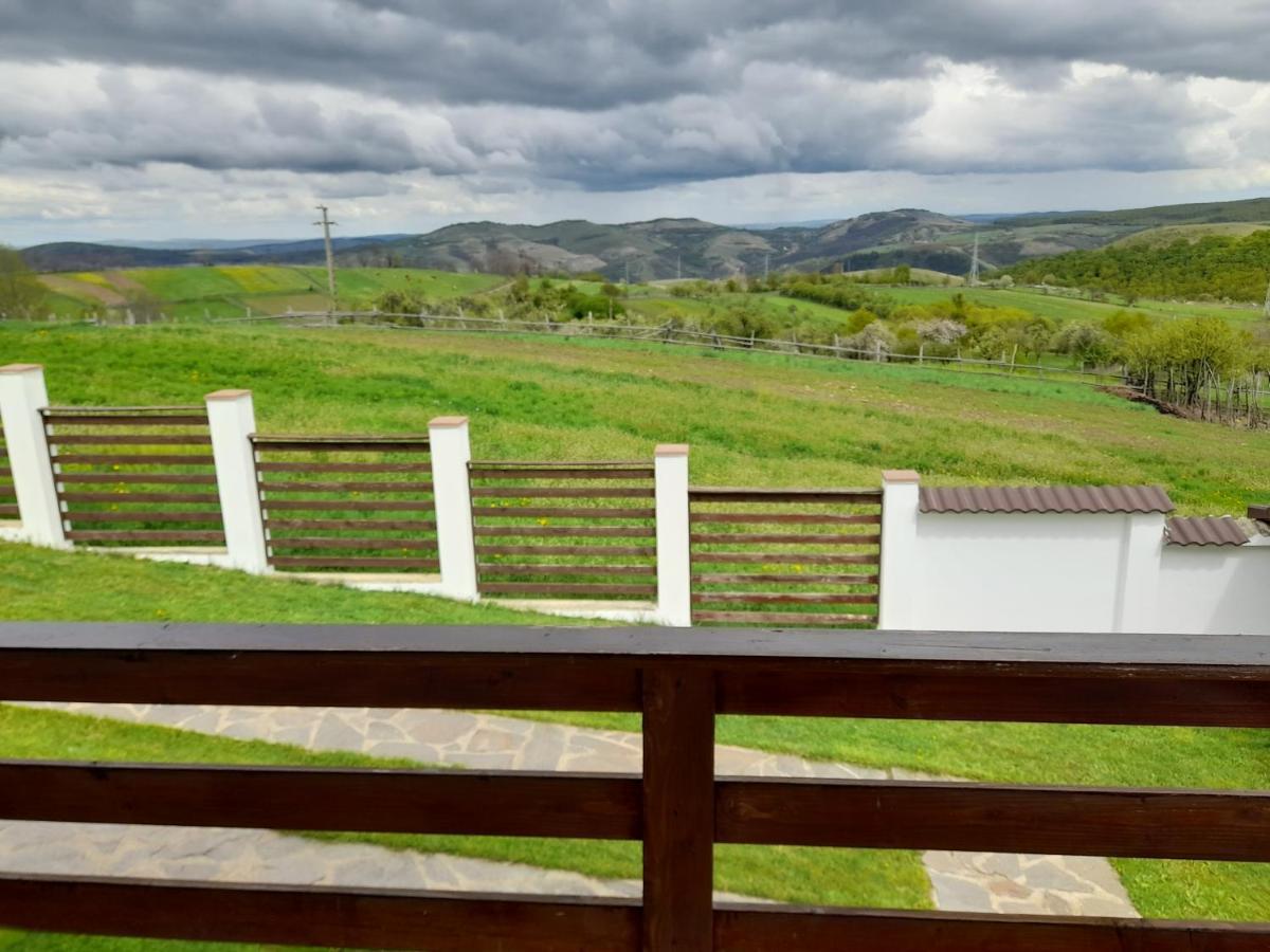 Vila Aloman Sebeş Dış mekan fotoğraf